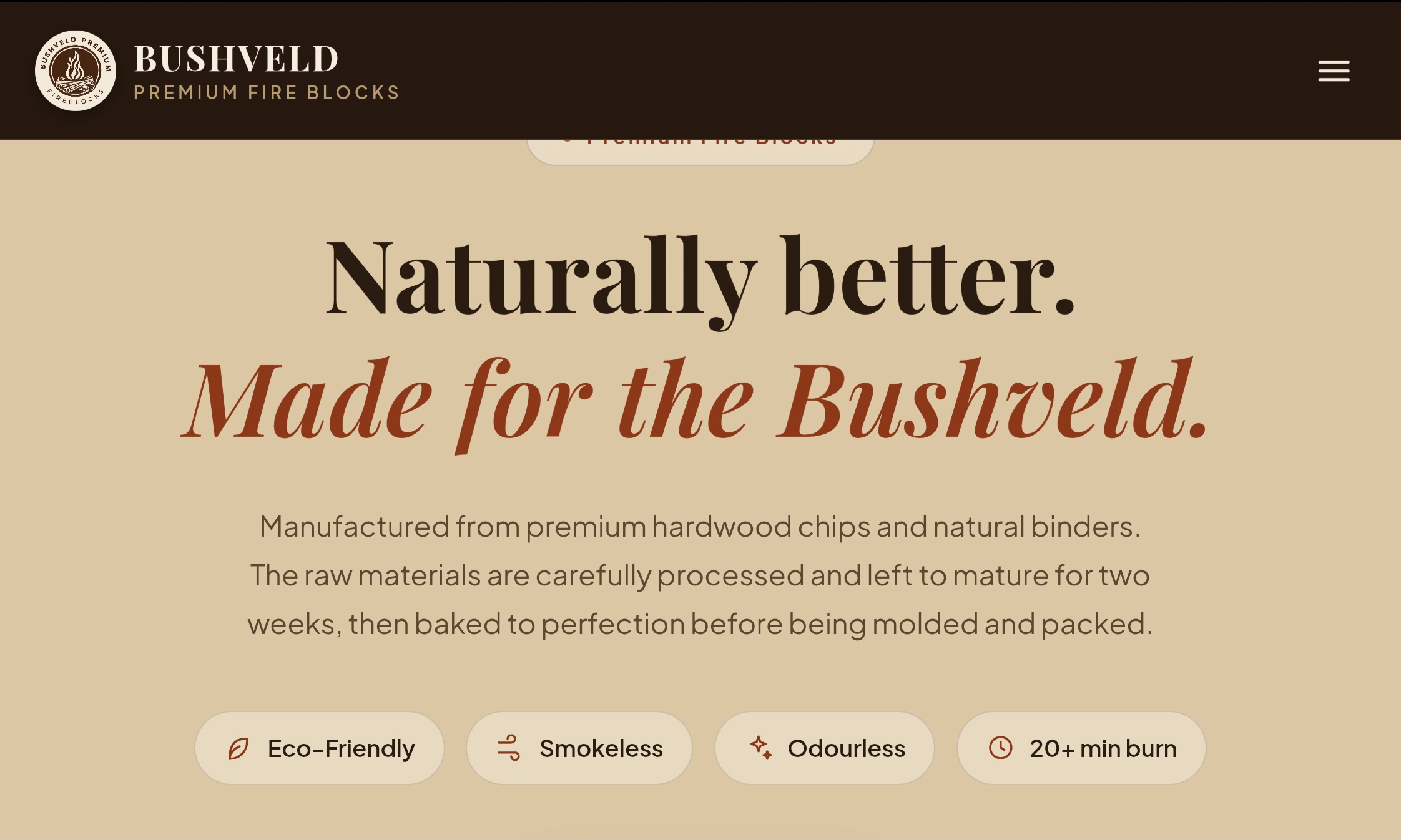 Website project screenshot